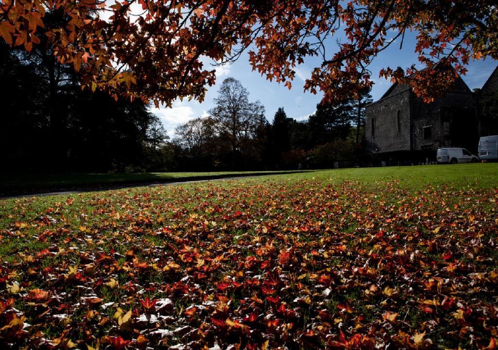 Dartington Hall Totnes Buitenkant foto